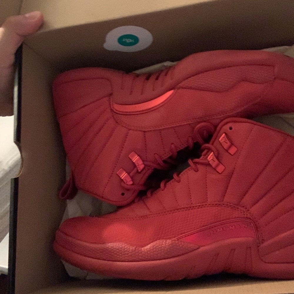 Jordan 12 retro